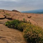 Tales & Legends of Enchanted Rock