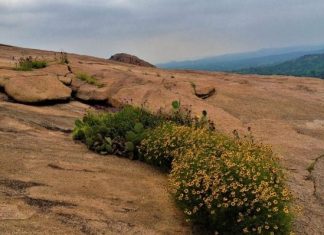 Tales & Legends of Enchanted Rock